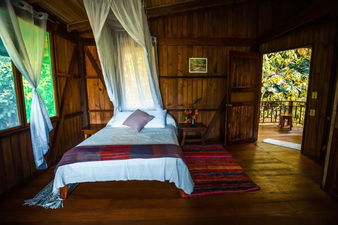 Ocean Forest Ecolodge San Pedrillo Exterior foto