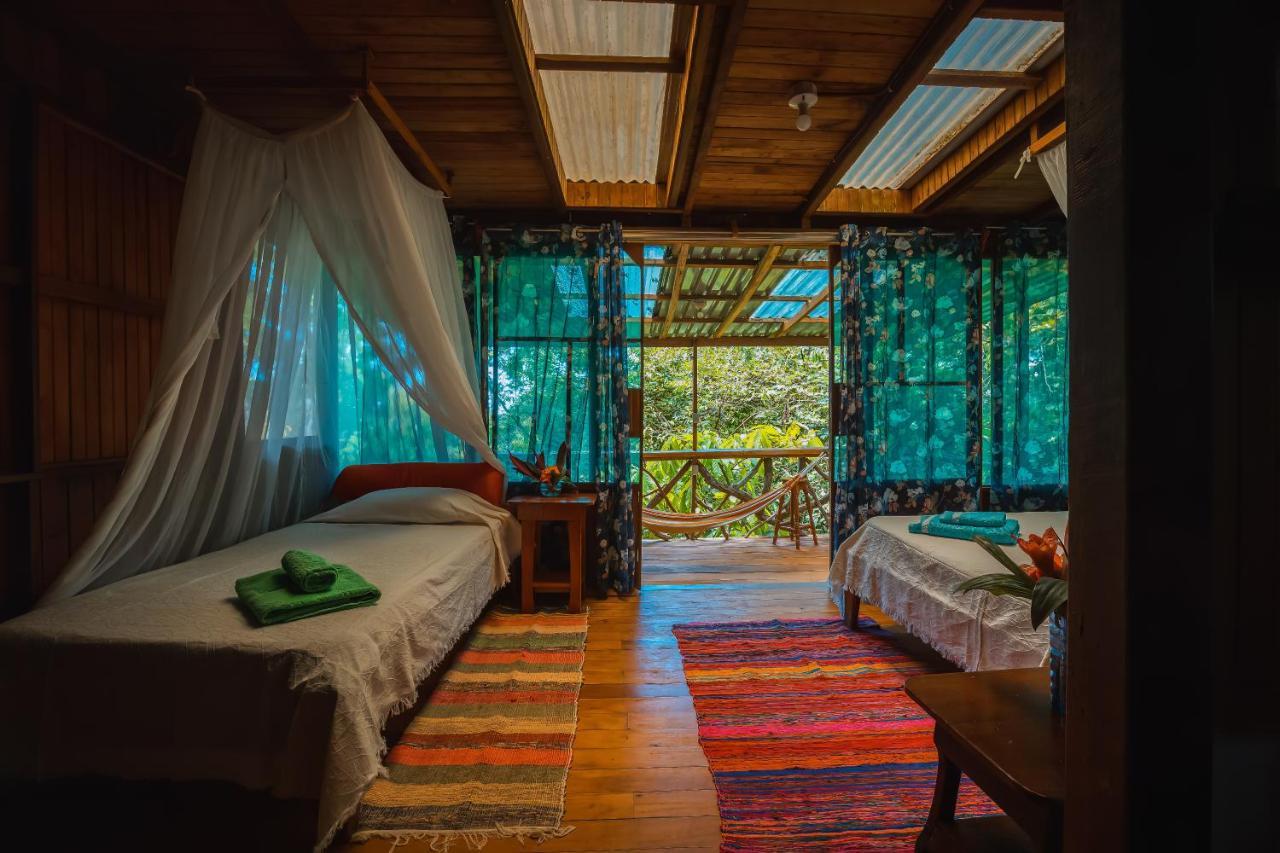 Ocean Forest Ecolodge San Pedrillo Exterior foto