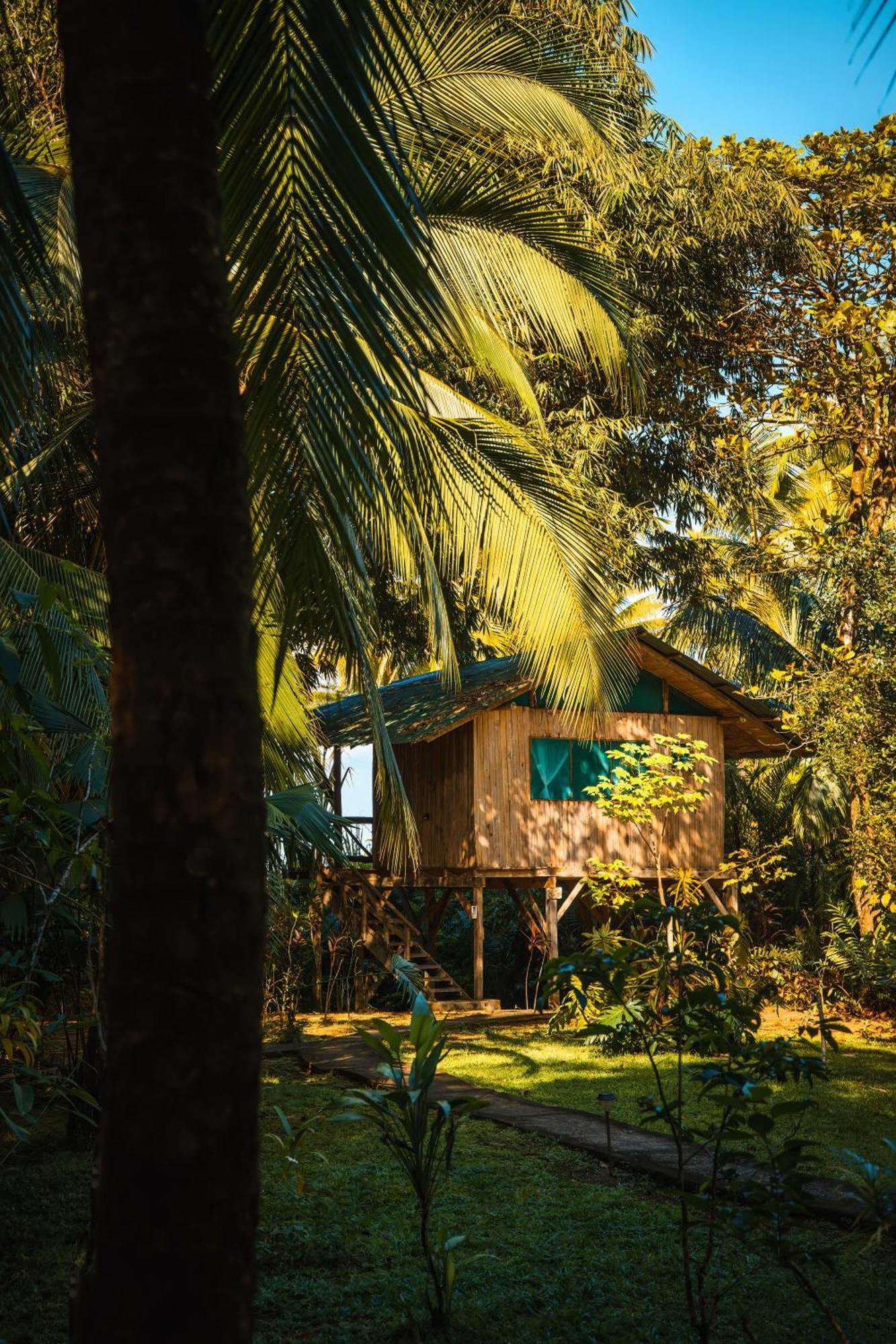 Ocean Forest Ecolodge San Pedrillo Exterior foto
