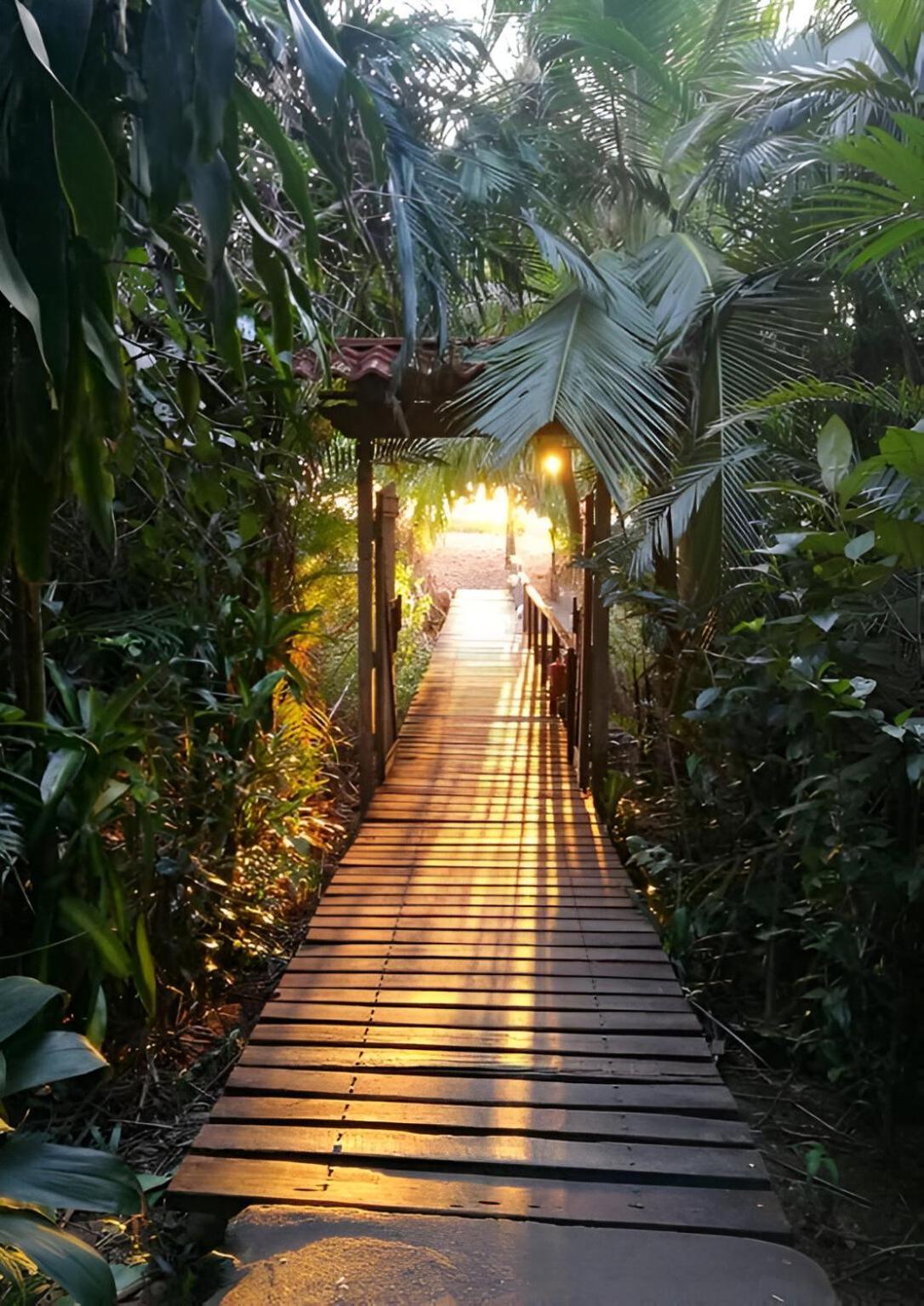 Ocean Forest Ecolodge San Pedrillo Exterior foto